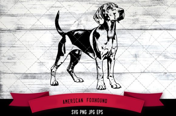 American Foxhound SVG