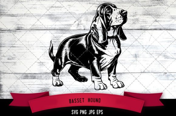 Basset Hound SVG, Dog SVG, Logo