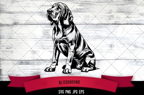 Bloodhound SVG, Dog SVG, Logo