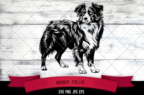 Border Collie SVG for Embroidery