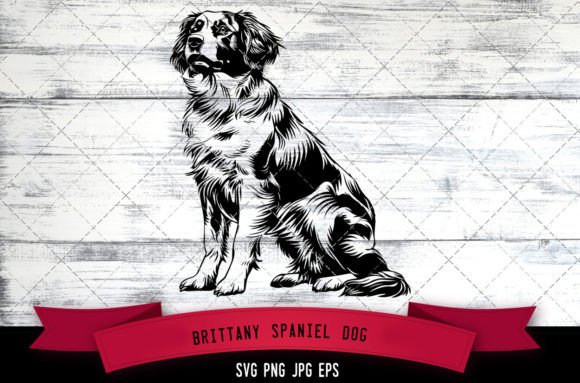 Brittany Spaniel Dog SVG for Embroidery