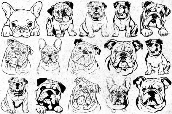 Bulldog Svg Design