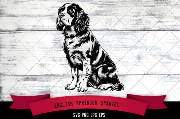English Springer Spaniel SVG for Embroidery