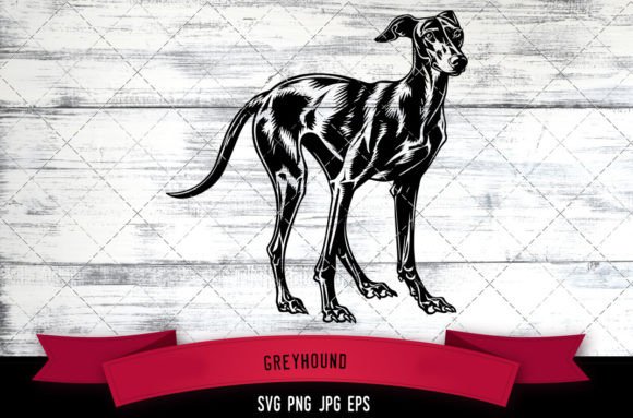 Greyhound SVG, Dog SVG, Logo
