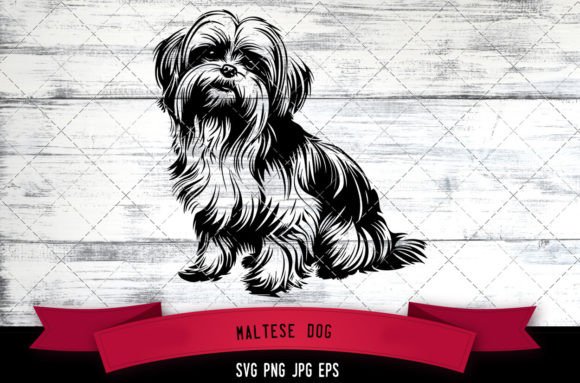 Maltese Dog SVG for Real Projects