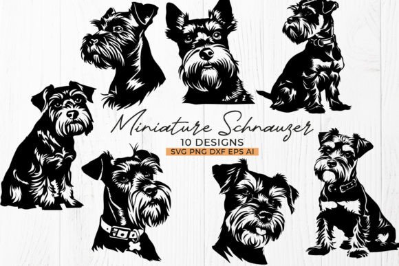 Miniature Schnauzer Dog SVG PNG Bundle