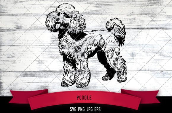 Poodle SVG, Dog SVG, Logo