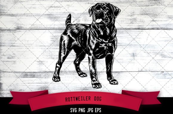 Rottweiler Dog SVG